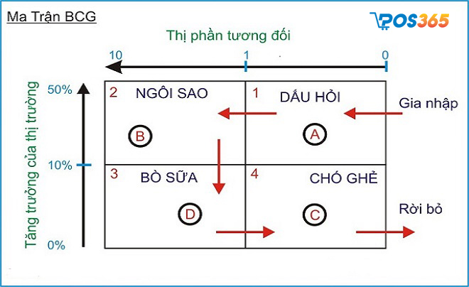 Xây dựng mô hình BCG