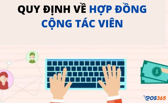 quy định về hợp đồng cộng t&aacute;c vi&ecirc;n