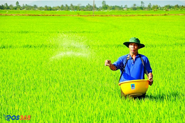 Tìm nguồn hàng chất lượng