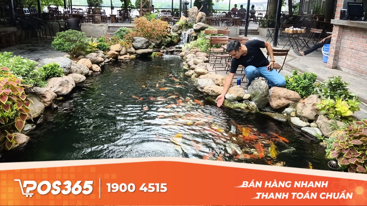 Bí quyết thiết kế mô hình cafe cá Koi đẹp, độc đáo, thu hút khách hàng