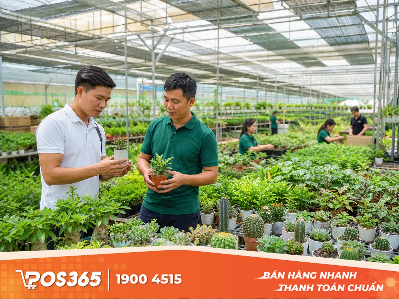Nguồn cung c&acirc;y cảnh mini tại miền Nam v&agrave; T&acirc;y Nguy&ecirc;n
