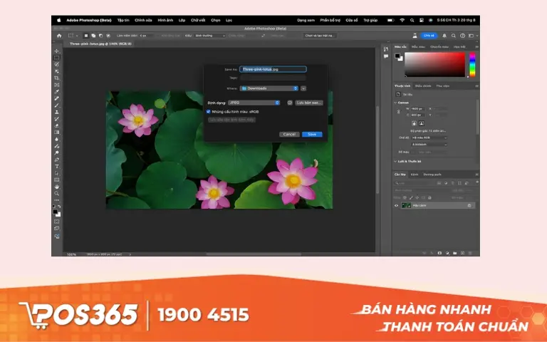 Photoshop - Thiết kế menu nhà hàng chuyên nghiệp