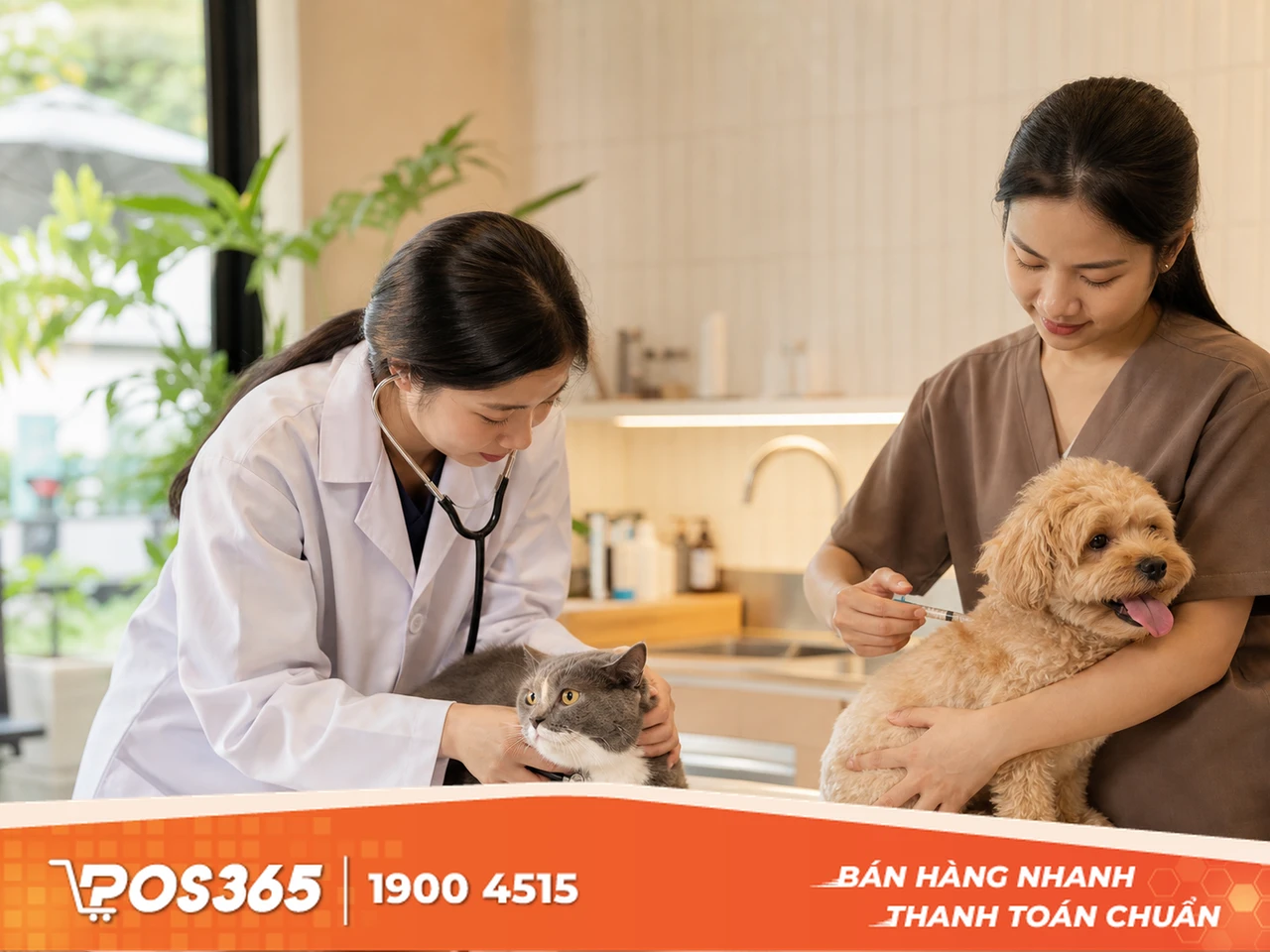 Quy trình chọn lọc và chăm sóc thú cưng