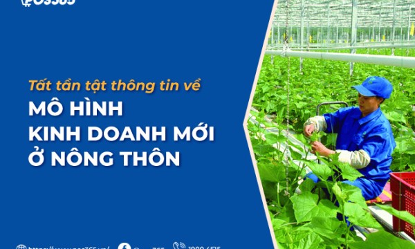Mô hình kinh doanh mới ở nông thôn: 6 Xu hướng đón đầu 2026