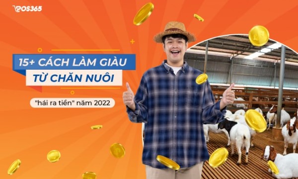 Gợi ý 15+ cách làm giàu từ chăn nuôi hái ra tiền mà bạn nên thử