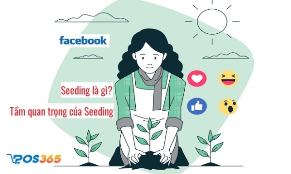 Seeding là gì? Seeding Facebook là gì? Cách áp dụng hiệu quả