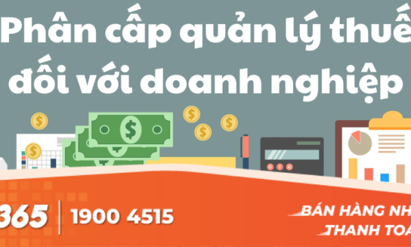 Phân cấp quản lý thuế đối với doanh nghiệp: Cập nhật quy định 2026