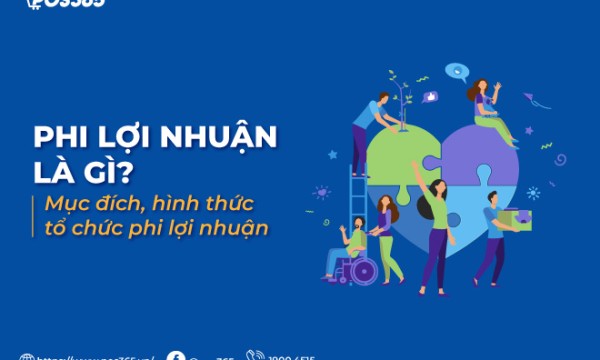 Phi lợi nhuận là gì? Bản chất, hình thức và pháp lý 2026