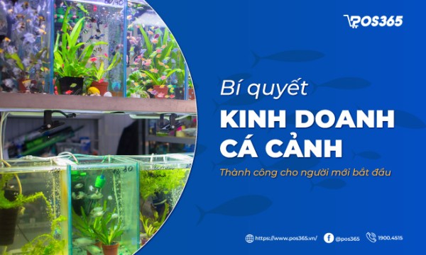 Bí quyết kinh doanh cá cảnh thành công cho người mới bắt đầu